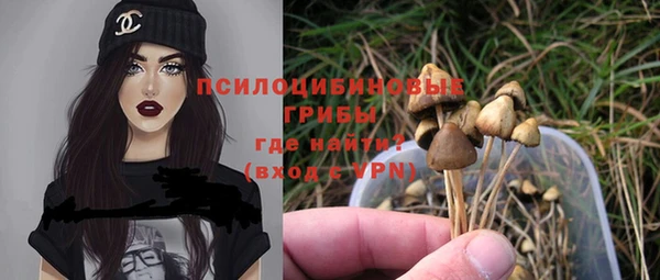 соль ск Вязники