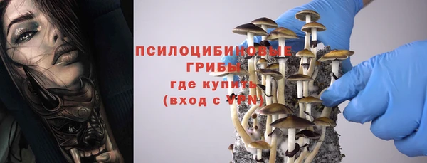 apvp Вязьма