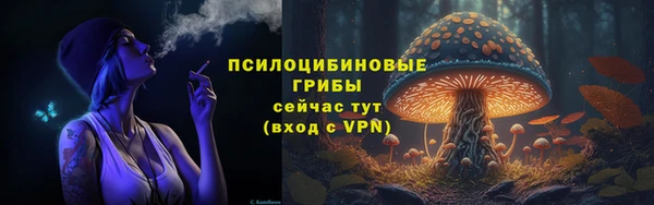 гашиш Вяземский